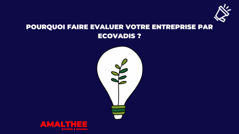 Lire la suite à propos de l’article Pourquoi faire évaluer votre entreprise par EcoVadis ?